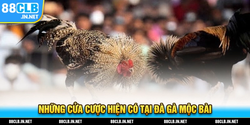 Đá Gà Mộc Bài - Bộ Môn Đá Gà Sôi Động Nhất Thị Trường 2025 3 Những cửa cược hiện đã có tại sân chơi đá gà mộc bài