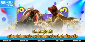 da ga moc bai thumb