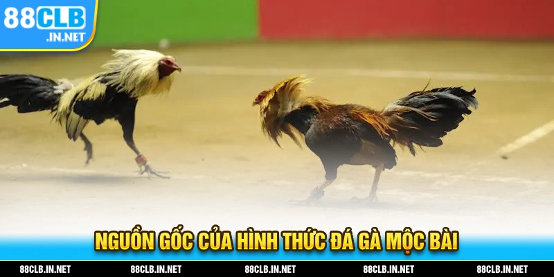 Đá Gà Mộc Bài - Bộ Môn Đá Gà Sôi Động Nhất Thị Trường 2025 1 Nguồn gốc xuất hiện trên thị trường của trò chơi đá gà mộc bài